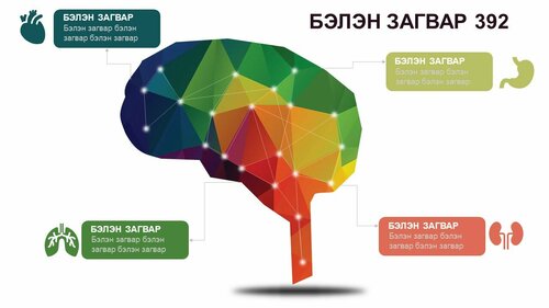 Эрүүл мэндийн байгууллагын сургалт, тайланд тохиромжтой инфографик