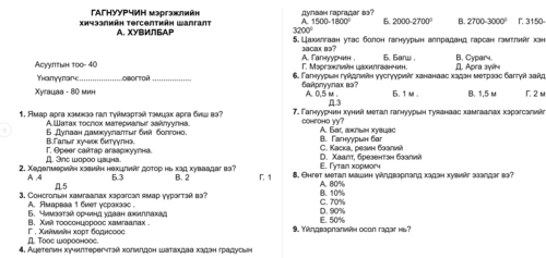 Гагнуурчин мэргэжлийн тестүүд