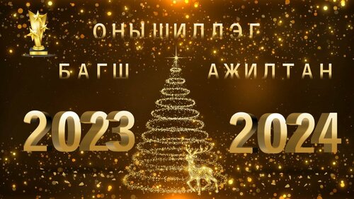 Шинэ жил