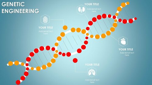 Powerpoint бэлэн загвар. Инфографик. Агуулгад тохиромжтой